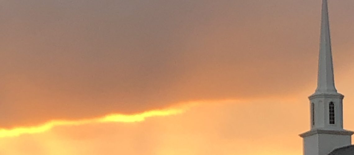 IMG_1556